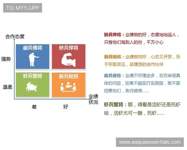 凯时数字站：打造安全稳定的数字交易生态系统的核心力量