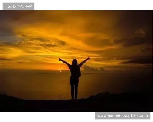 尊龙人生就是博：用勇气和智慧书写属于自己的精彩人生篇章