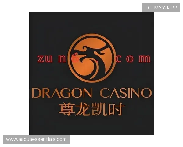 尊龙凯官方网站入口：官方入口登录遇到问题的解决方案与客服联系方式