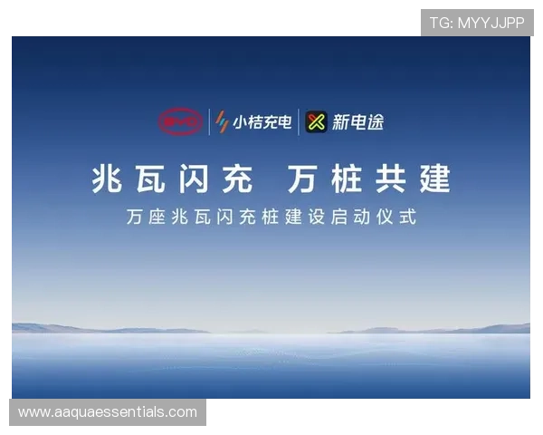 尊龙凯时旗舰厅官网：2024年最新平台功能升级与使用体验提升