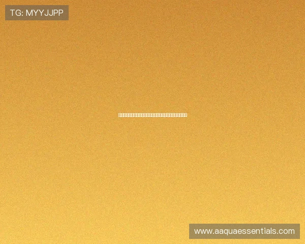 尊龙凯时在线注册流程详解，轻松注册开启您的精彩游戏之旅