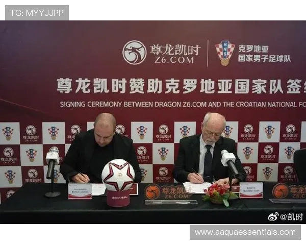 深度解析尊龙凯时中国人官网的市场定位与优势