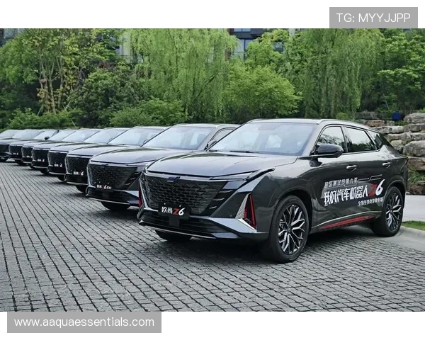 Z6就是博：提升Z6使用效率的实用技巧与常见误区解析