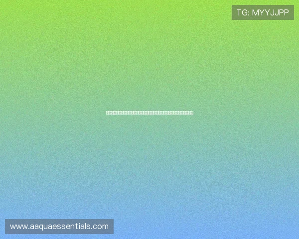 尊龙新版登录下载网址最新版本下载安装指南，帮助用户快速顺利完成登录操作