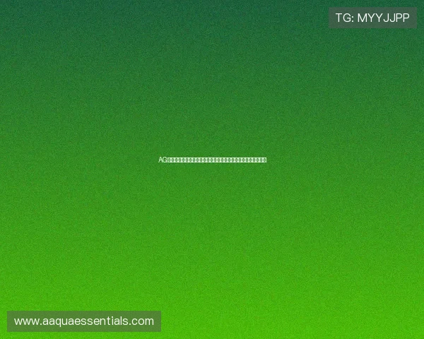 AG经典之战精彩片段集锦：每一场比赛都值得反复回味的电竞经典